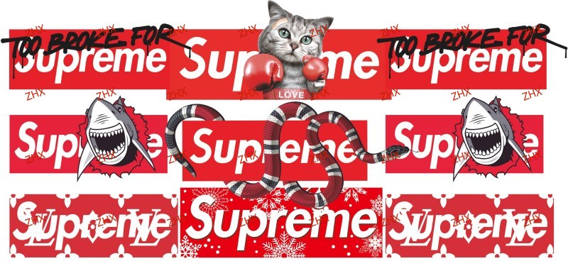 Y55544
