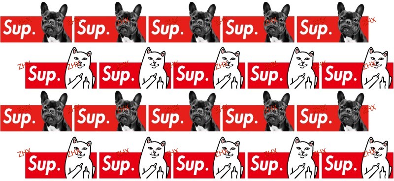 Y55550