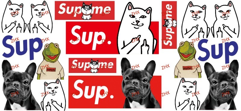 Y55627