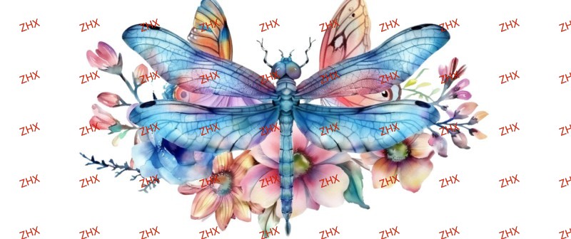 Y29707