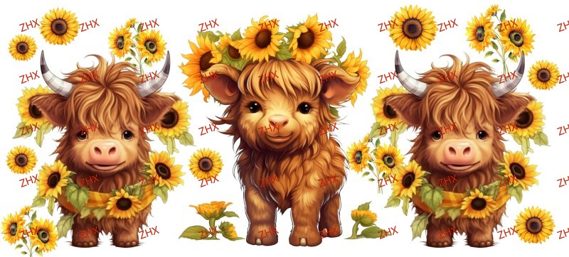 Y11666