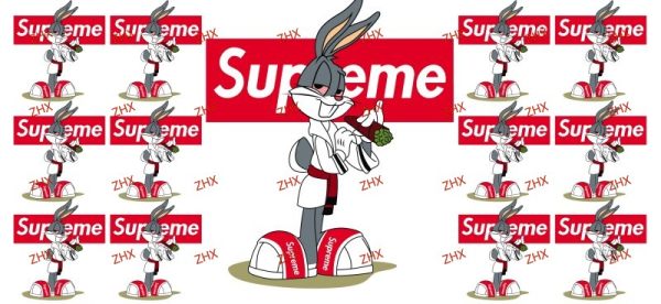 Y55480