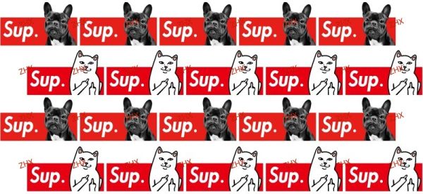 Y55550