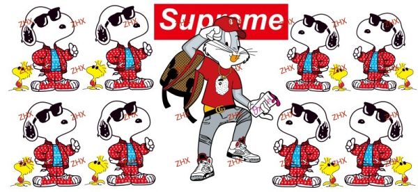 Y55558