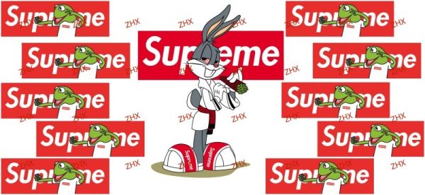 Y55561