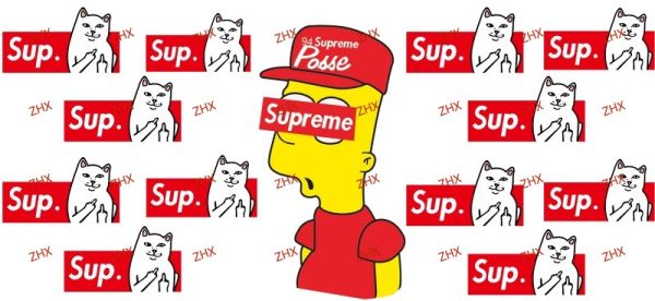 Y55568
