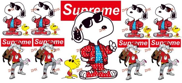Y55571