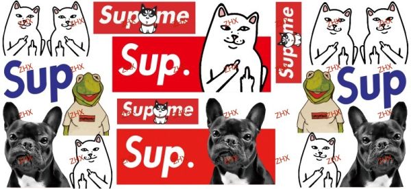Y55627