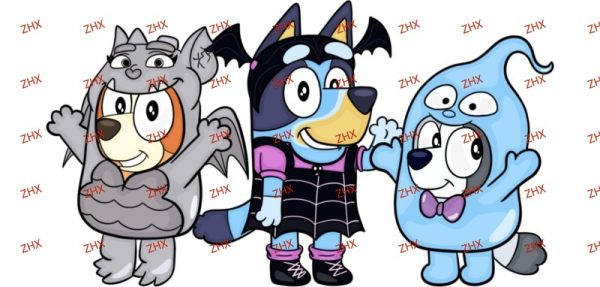 Y19060