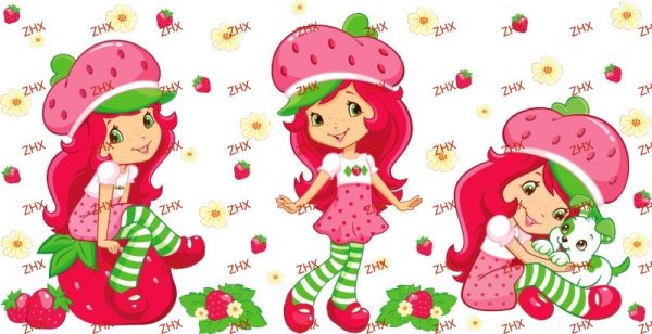 Y6080