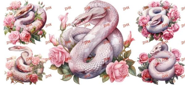 Y23467