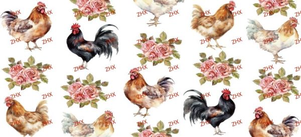 chicken