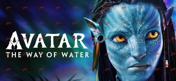 Y36210