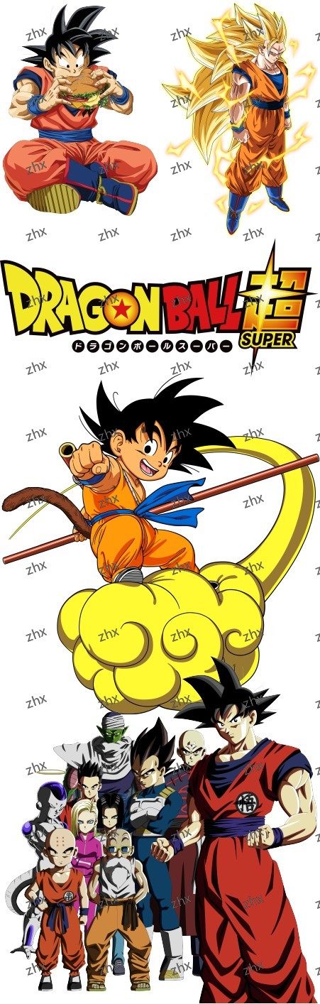 223