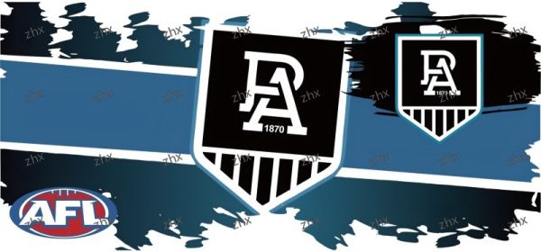 Y12913