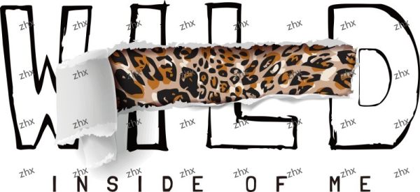 Leopard print 豹纹
