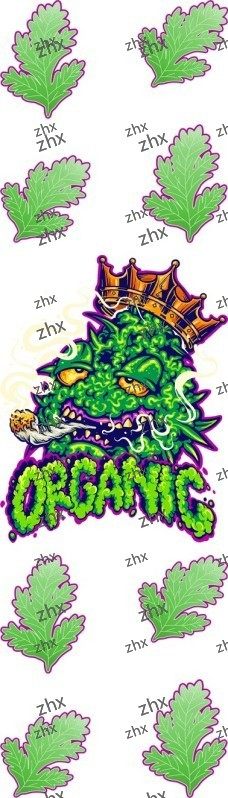 12161