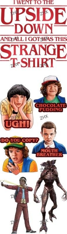 13243