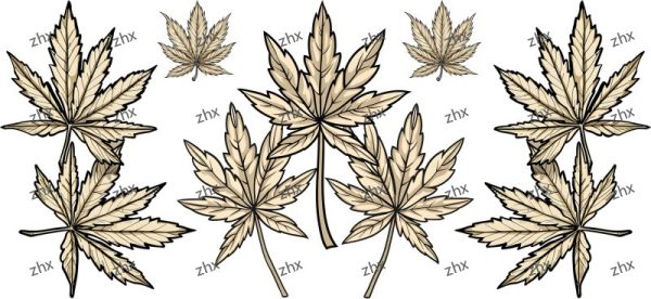 Y48893